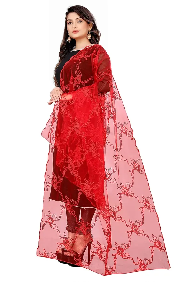 Designer_Women_Nylon_Net_Fancy_Embroidered_Dupatta_For_Women_Girl_2