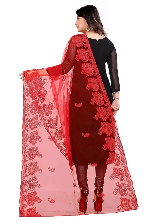 Product_Summary_Akshar_Llc_Designer_Women_Nylon_Net_Fancy_Embroidered_Dupatta_For_Women_Girl