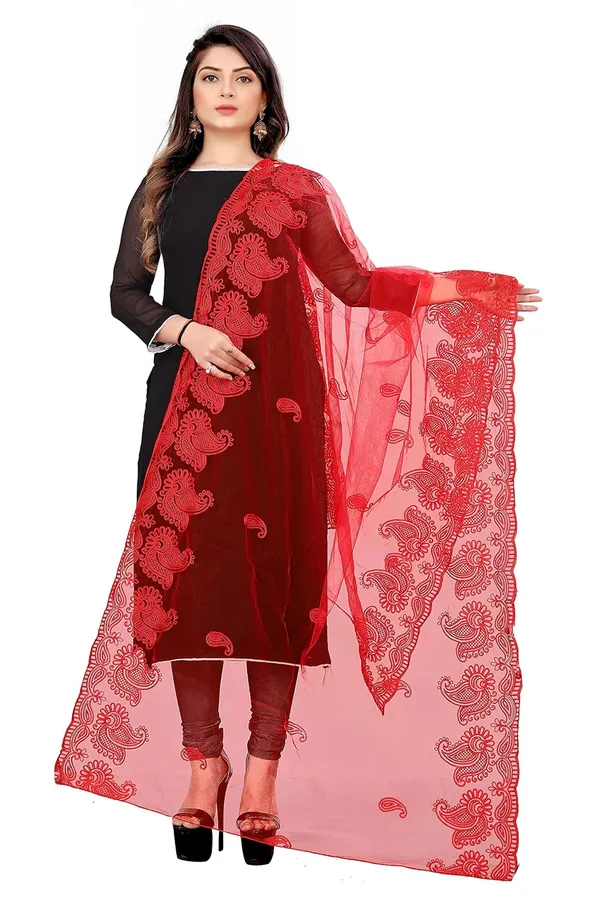Product_Summary_Akshar_Llc_Designer_Women_Nylon_Net_Fancy_Embroidered_Dupatta_For_Women_Girl