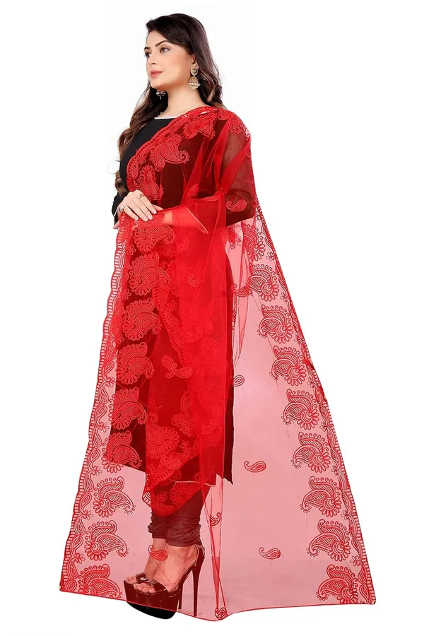 Product_Summary_Akshar_Llc_Designer_Women_Nylon_Net_Fancy_Embroidered_Dupatta_For_Women_Girl