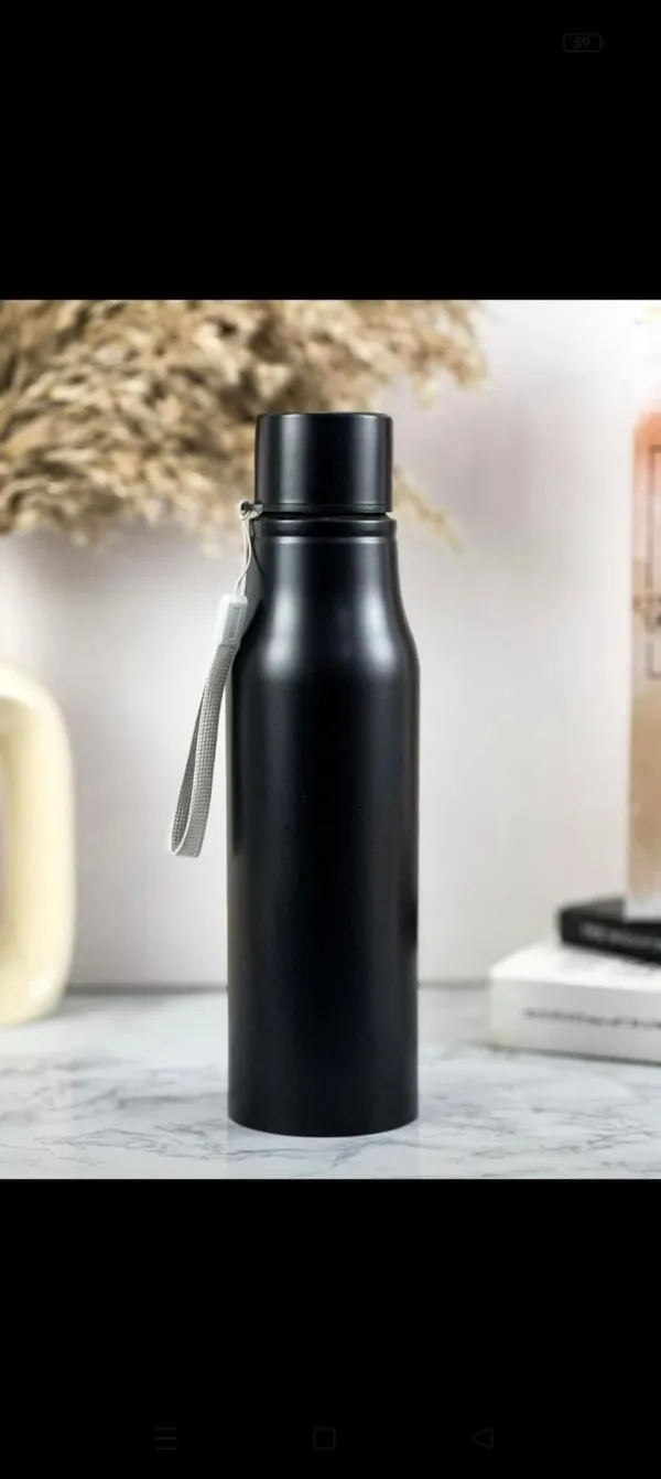 Stainless_Steel_Insulated_Water_Bottle_With_Carrying_Strap
