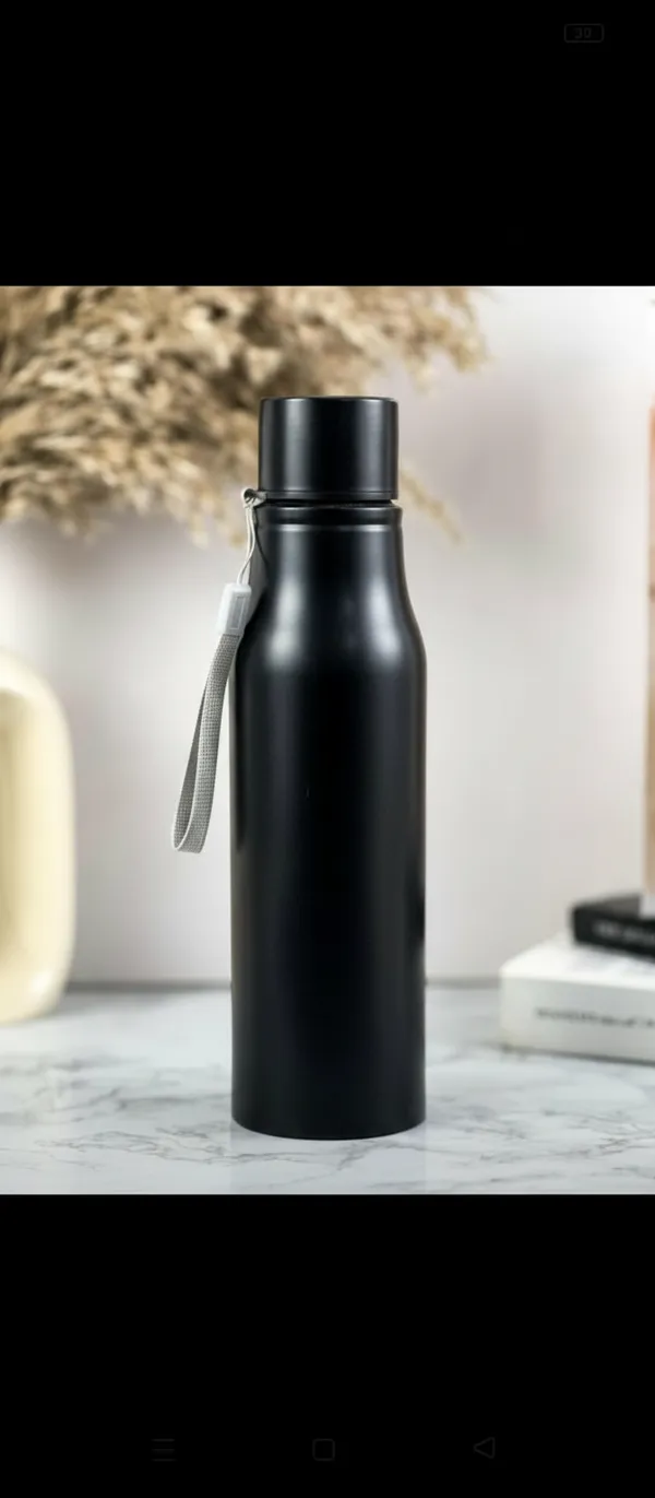 Stainless_Steel_Insulated_Water_Bottle_With_Carrying_Strap