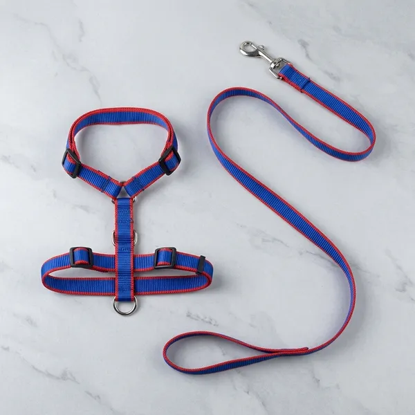 Blue_Red_Nylon_Step-In_Adjustable_Dog_Harness_And_Leash_Set