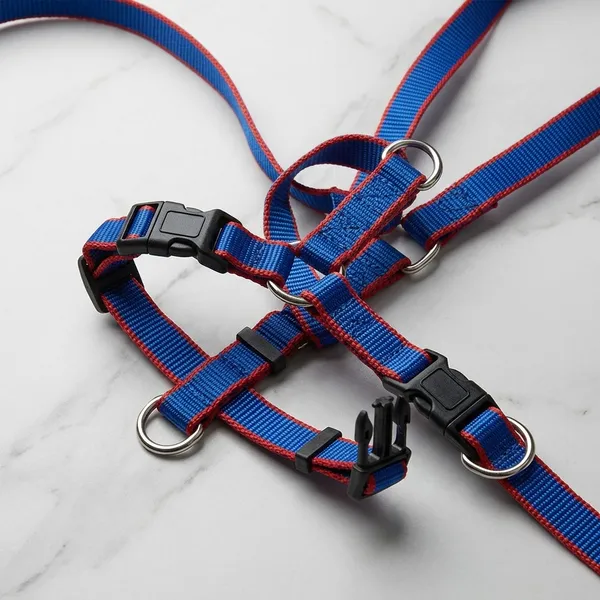 Blue_Red_Nylon_Step-In_Adjustable_Dog_Harness_And_Leash_Set