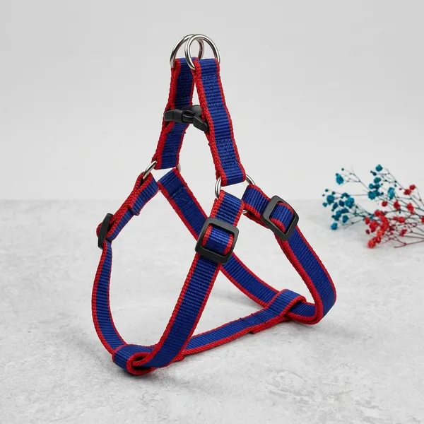 Nylon_Adjustable_Step-In_Dog_Harness_With_Leash