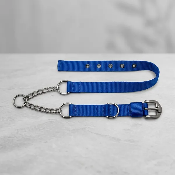 Blue_Nylon_Adjustable_Dog_Collar_With_Metal_D-Ring