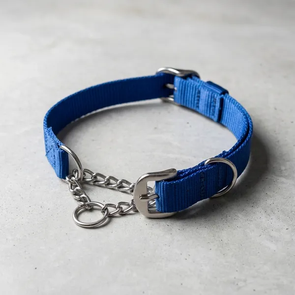 Blue_Nylon_Adjustable_Dog_Collar_With_Metal_D-Ring