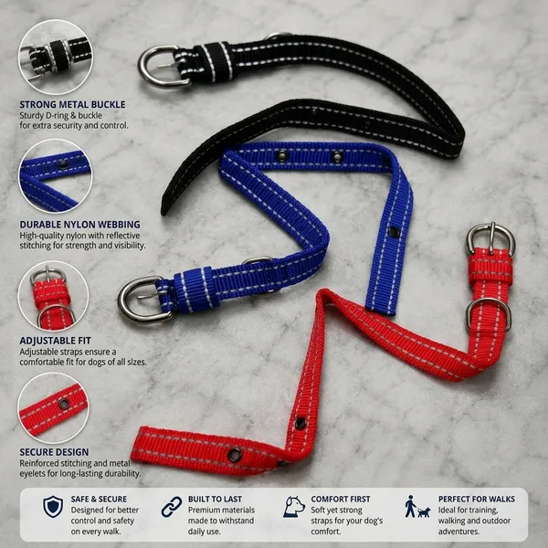 Reflective_Nylon_Dog_Collar_And_Leash_multi_color_(only_one_leash_and_collar)