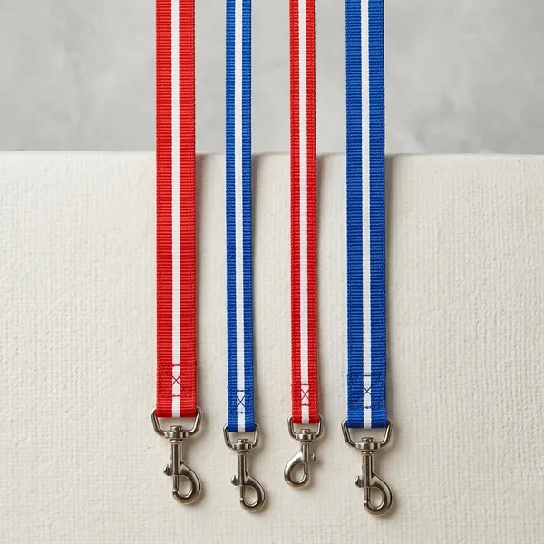 Red_Blue_Striped_Grosgrain_Ribbon_Pet_Leash_multi_color_(1_leash)