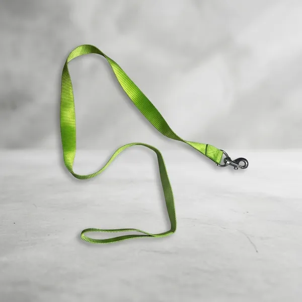 Light_Green_Nylon_Adjustable_Dog_Leash_With_Metal_Swivel_Clip
