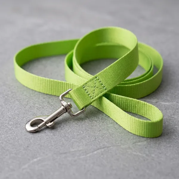 Light_Green_Nylon_Adjustable_Dog_Leash_With_Metal_Swivel_Clip