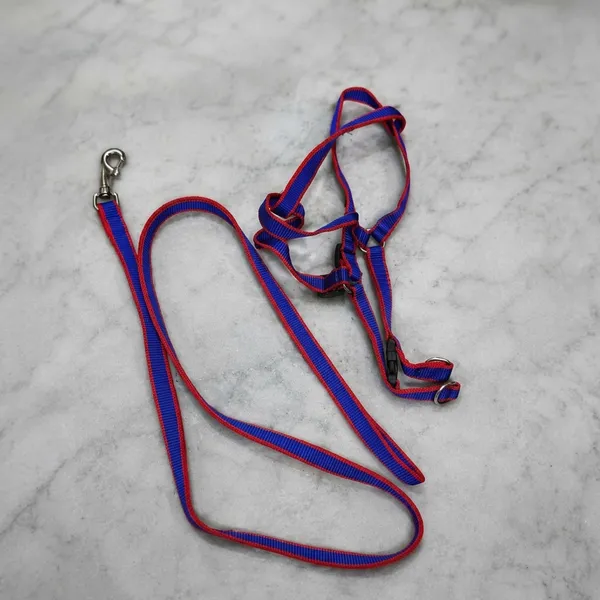 Nylon_Adjustable_Dog_Harness_And_Leash_Set