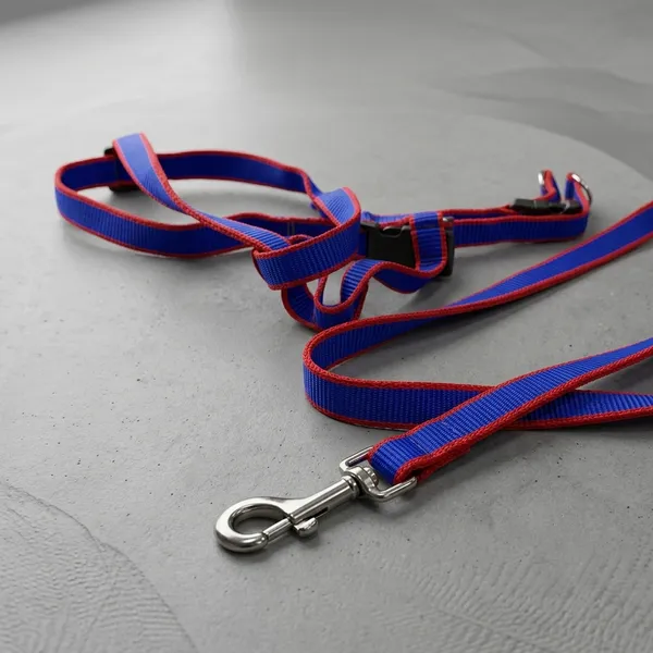 Nylon_Adjustable_Dog_Harness_And_Leash_Set