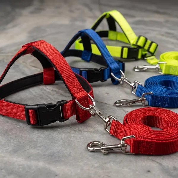 Nylon_Adjustable_Dog_Harness_With_Leash_Multicolor_(only_one_leash_and_harness)