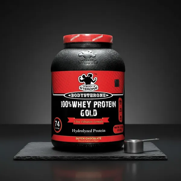 Bodysterone_CGT_Creatine_+_Glutamine_+_Taurine_(Pre-Workout)_100%_Whey_Protein_Gold__Pack_Of_2