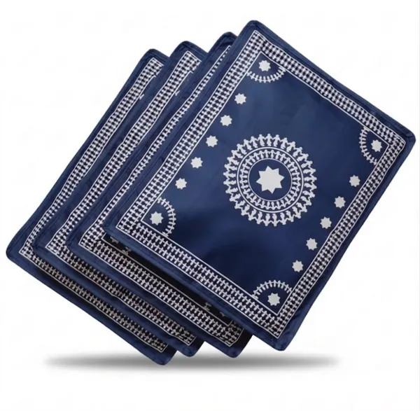 Women_Saree_Organiser