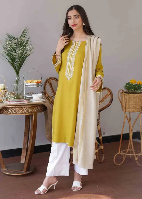 Women_Ethnic_Embroidered_Work_Kurti_Set