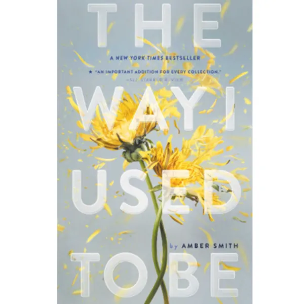 The_Way_I_Used_To_Be_Paperback_Amber_Smith