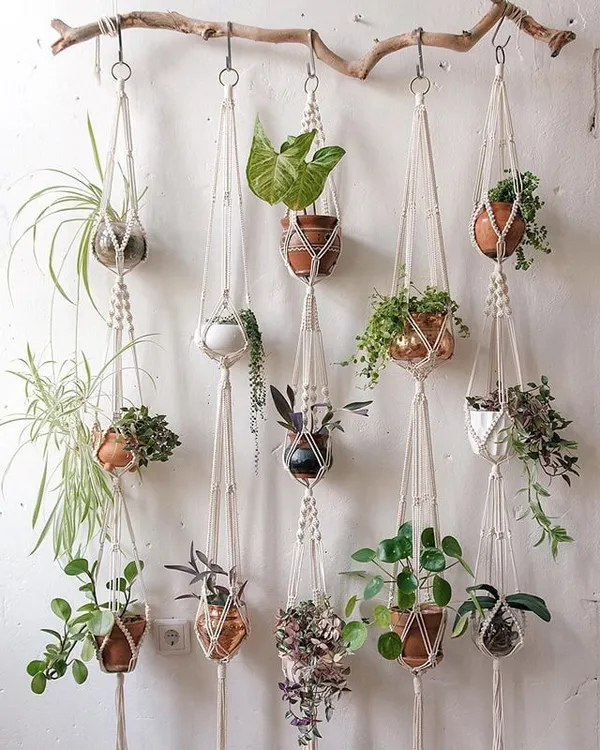 Large_Set_of_Macrame_Plant_Hangers_|_Hanging_Planters_|_Premium_Plant_Hanger