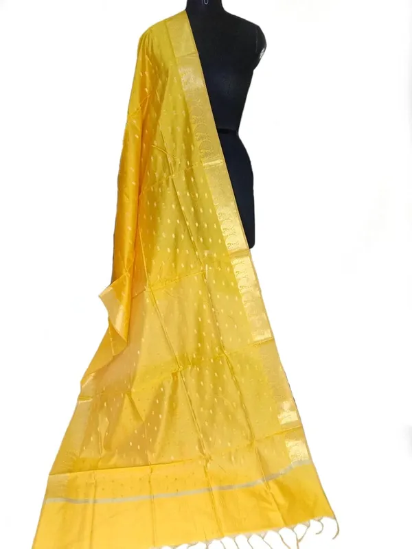 Gold_Chanderi_Premium_And_Elegant_Dupatta_For_Women