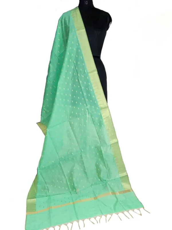 Light_Green_Chanderi_Premium_And_Elegant_Dupatta_For_Women