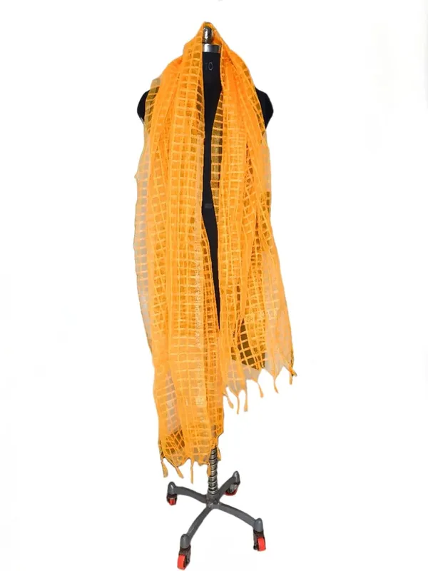 Gold_Organza_Dupion_Premium_And_Elegant_Dupatta_For_Women