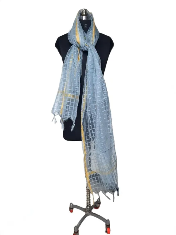 Grey_Organza_Dupion_Premium_And_Elegant_Dupatta_For_Women