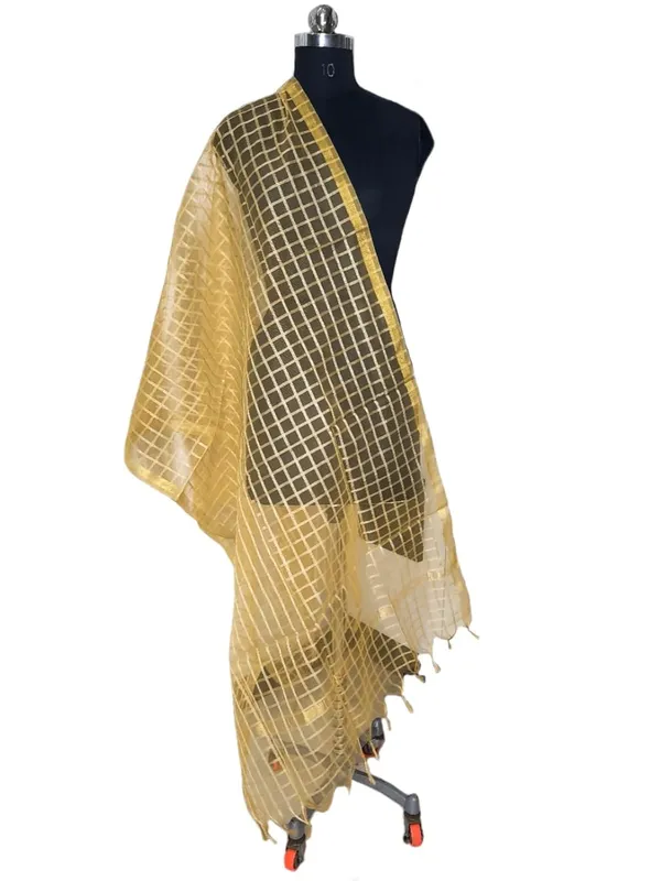 Beige_Organza_Dupion_Premium_And_Elegant_Dupatta_For_Women