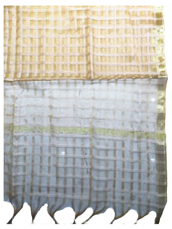 Beige_Organza_Dupion_Premium_And_Elegant_Dupatta_For_Women