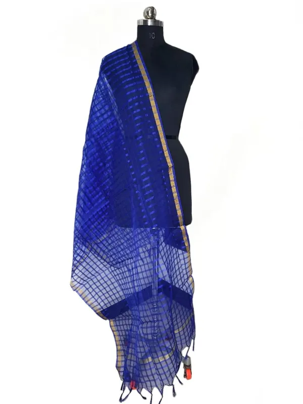 Blue_Organza_Dupion_Premium_And_Elegant_Dupatta_For_Women