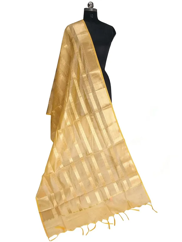Beige_Cotton_Silk_Premium_And_Elegant_Dupatta_For_Women