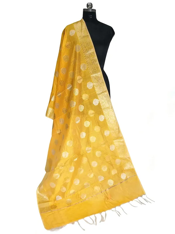 Gold_Cotton_Silk_Premium_And_Elegant_Dupatta_For_Women