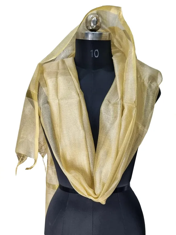 Cream_Tissue_Net_Premium_And_Elegant_Dupatta_For_Women