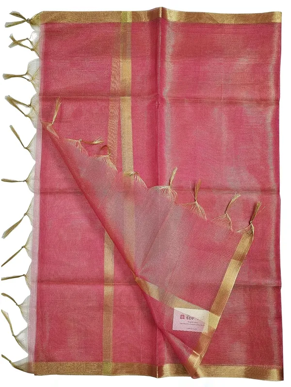 Rani_Tissue_Net_Premium_And_Elegant_Dupatta_For_Women