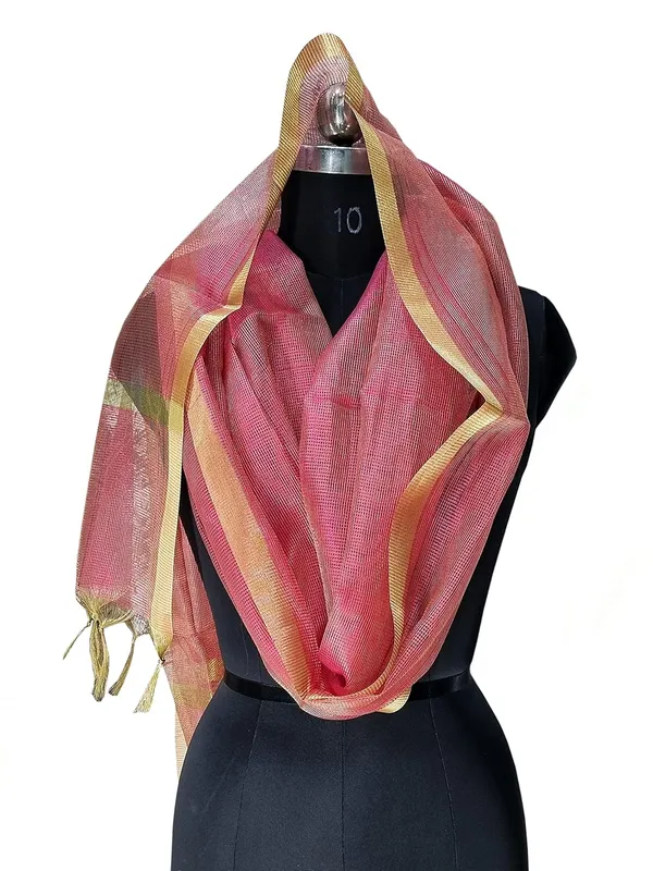 Rani_Tissue_Net_Premium_And_Elegant_Dupatta_For_Women