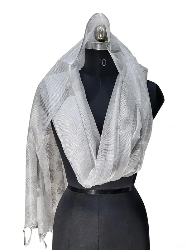 Silver_Tissue_Net_Premium_And_Elegant_Dupatta_For_Women