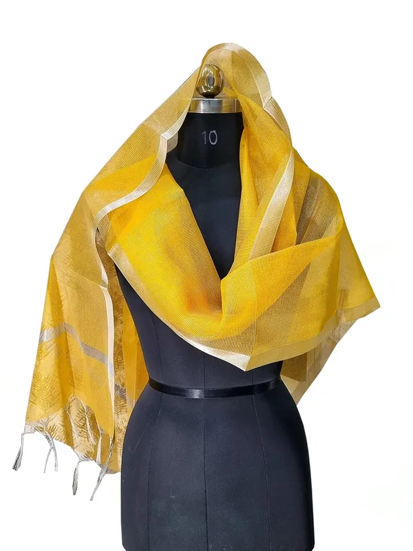 Gold_Tissue_Net_Premium_And_Elegant_Dupatta_For_Women