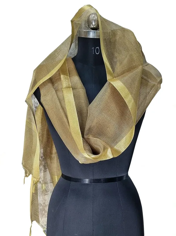 Brown_Tissue_Net_Premium_And_Elegant_Dupatta_For_Women
