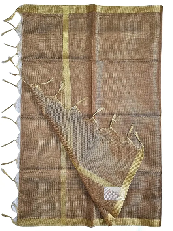 Brown_Tissue_Net_Premium_And_Elegant_Dupatta_For_Women