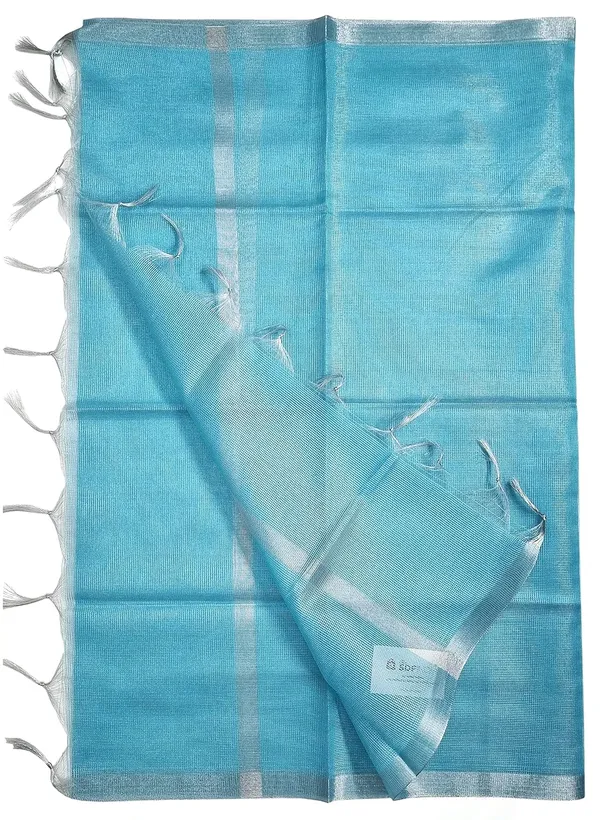 Firozi_Tissue_Net_Premium_And_Elegant_Dupatta_For_Women