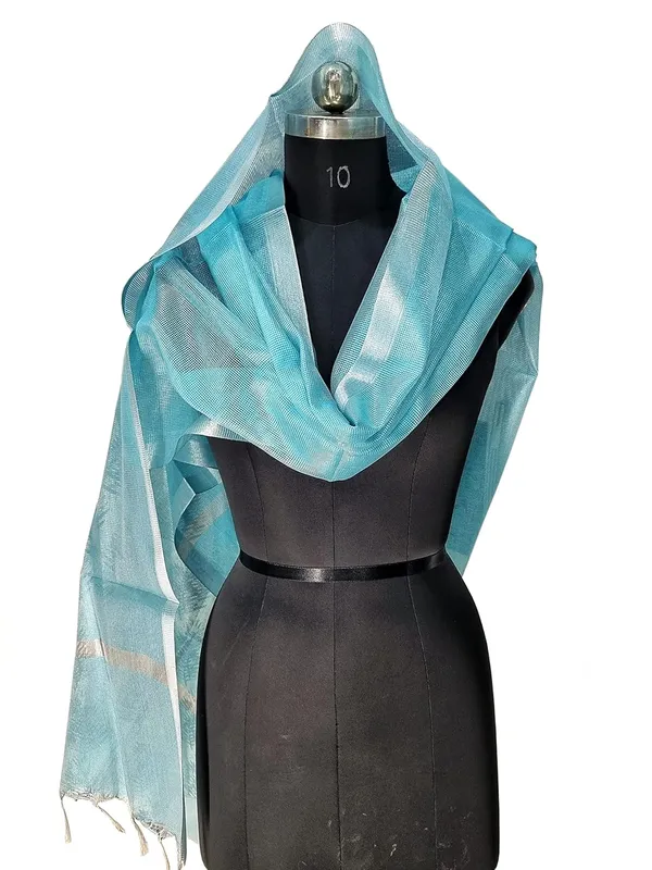 Firozi_Tissue_Net_Premium_And_Elegant_Dupatta_For_Women