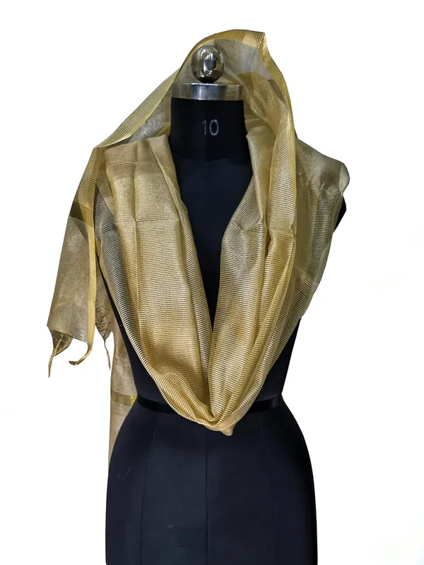 Beige_Tissue_Net_Premium_And_Elegant_Dupatta_For_Women