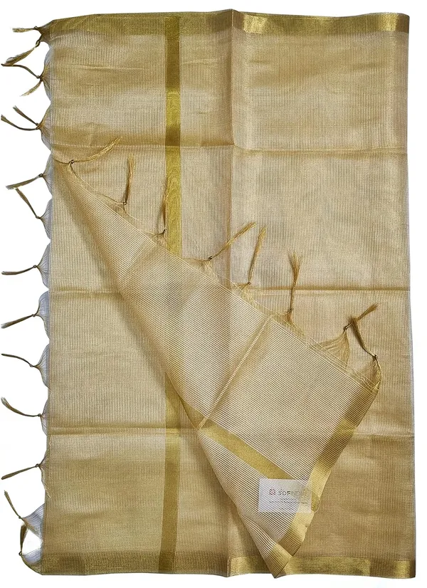Beige_Tissue_Net_Premium_And_Elegant_Dupatta_For_Women
