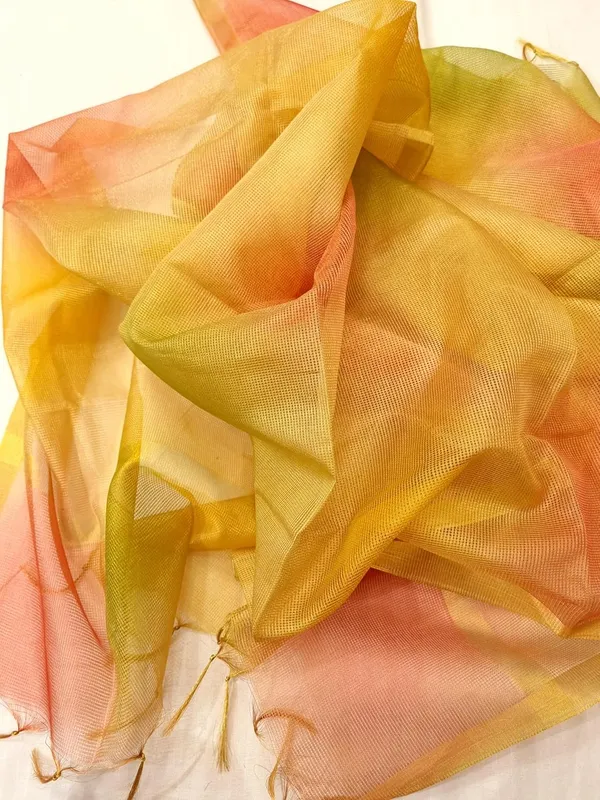 Multicolor_Tissue_Premium_And_Elegant_Dupatta_For_Women