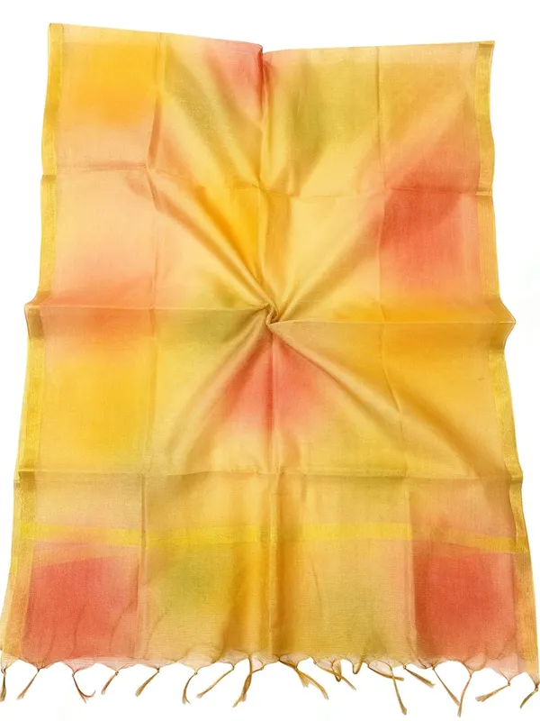 Multicolor_Tissue_Premium_And_Elegant_Dupatta_For_Women