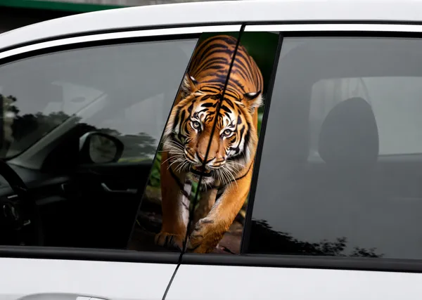 Tiger_Apex_�_Stealth_Pillar_Decal
