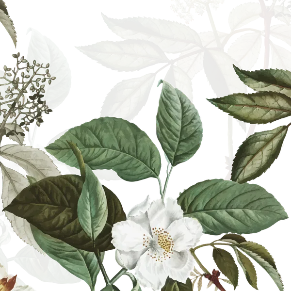 Premium_Dark_Green_Botanical_Wall_Mural_10_X_10_Ft_Custom_Wallpaper_Luxury_Leaf_And_White_Floral_Design_For_Living_Room