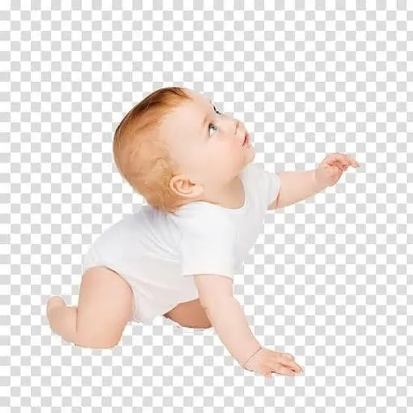 100_Pure_Neem_Teether_Chemical_Free_Lightweight_Splinter_Free