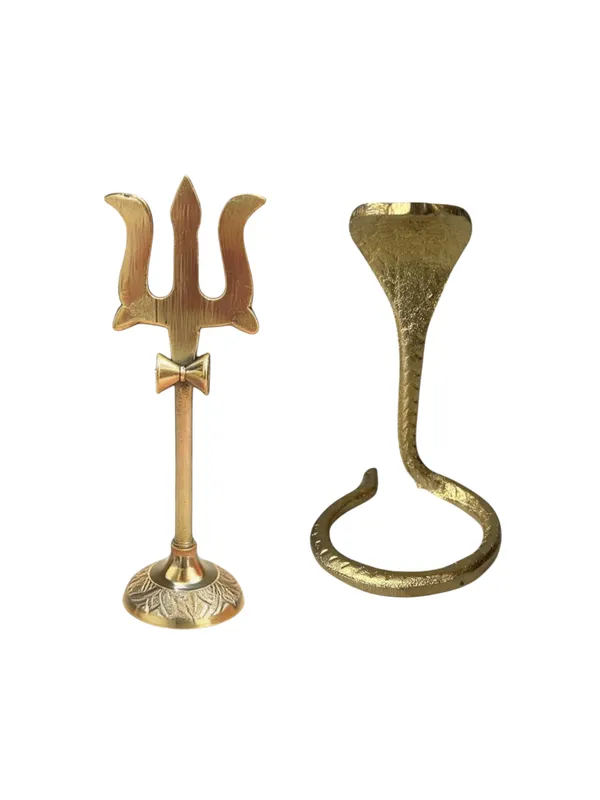 Pure_Brass_Trishul_and_Naag_Combo_for_Spritual_Use