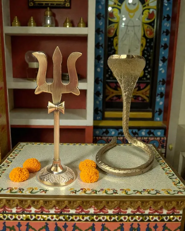 Pure_Brass_Trishul_and_Naag_Combo_for_Spritual_Use
